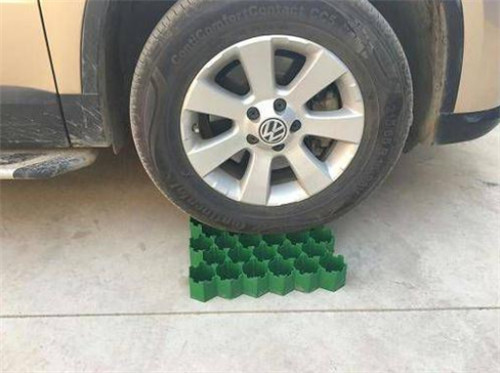 陜西植草格